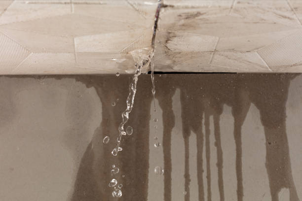 Professional Structural Drying technician working in Bogota, NJ